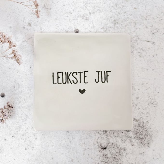 Tegeltje - de leukste juf - excl. houder - cadeau voor de juf - cadeau einde schooljaar