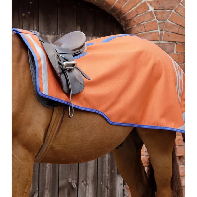Nierbekleding voor paarden Premier Equine Stratus