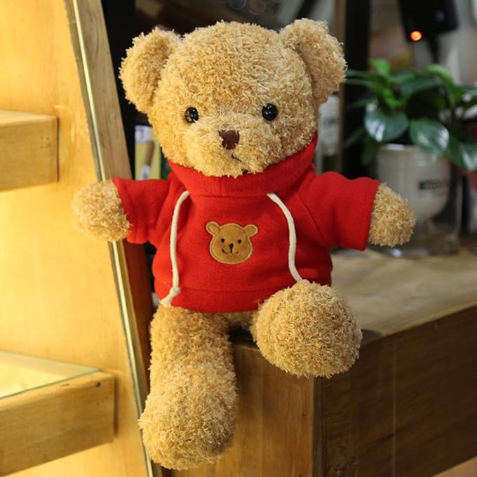 Sweatshirt Beer Trui Beer Pluche Speelgoed Kleding Teddybeer Pop 30cm