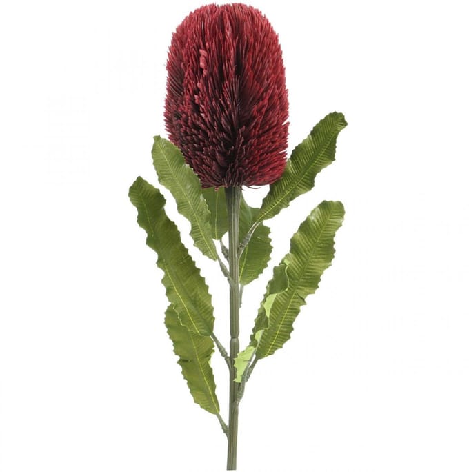 Kunstbloem Banksia Rood Bordeaux Kunst Exoten 64cm