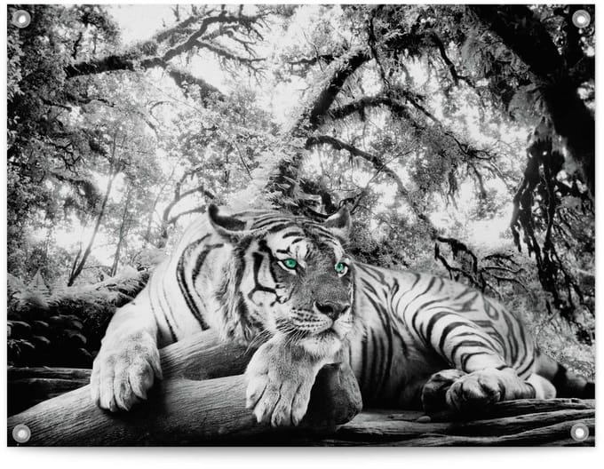 Tuinposter Tijger - 60 x 80 - Canvas - REINDERS