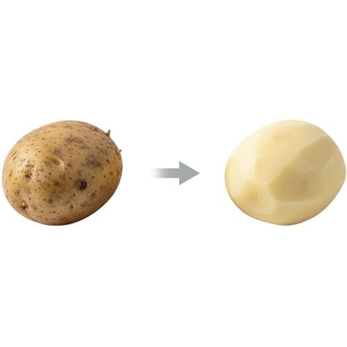 GGM Gastro Raspplaat voor aardappelschillers KASF120 & KASF220