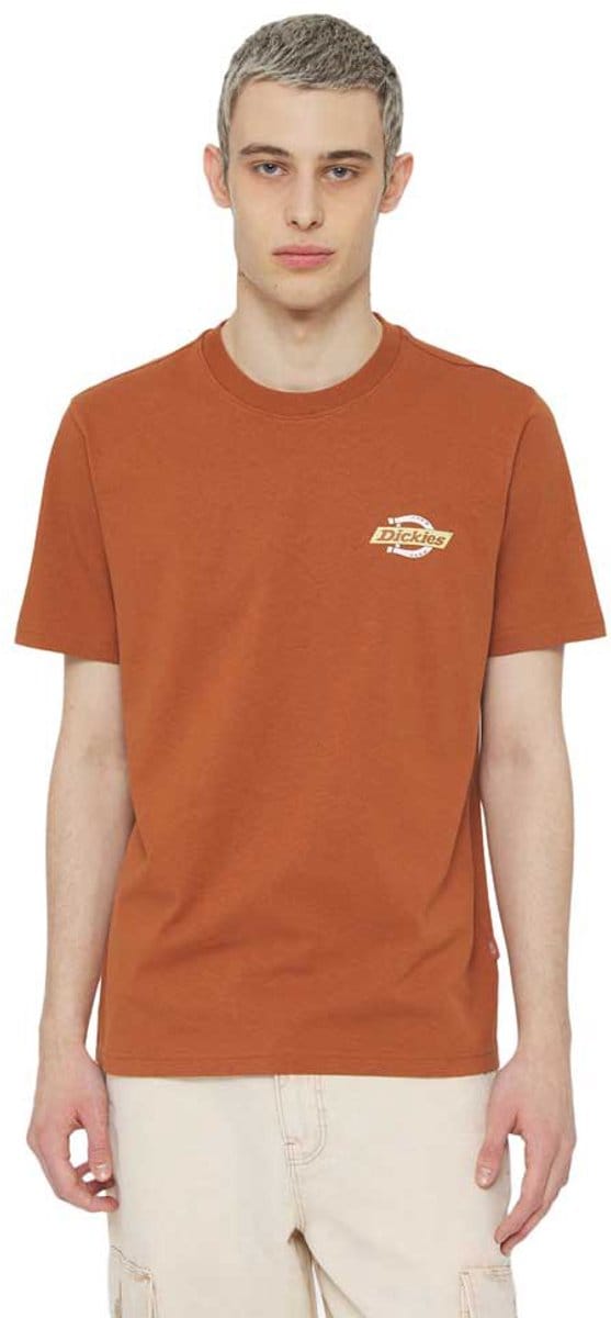 Dickies Ruston T-shirt Met Korte Mouwen Oranje S Man