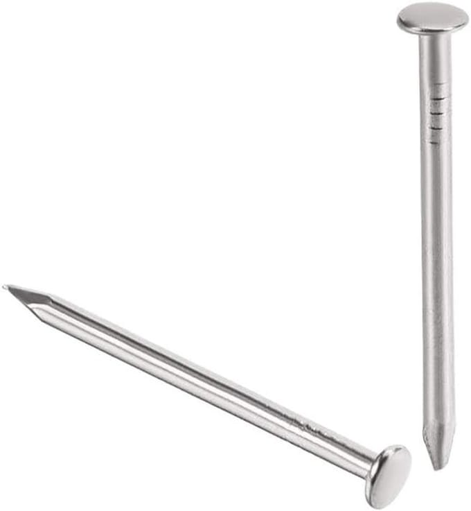 Hardware Nagels - Paneelpinnen - Houtbewerking - Platte Kop - 2 mm x 20 mm - Metaal