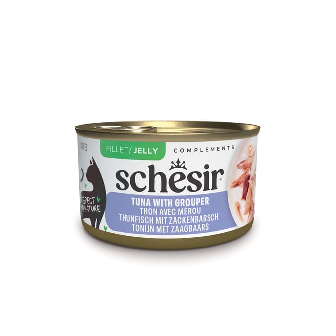 12x70g Schesir Complements in Gelee Thunfisch mit Zackenbarsch Katzenfutter nass