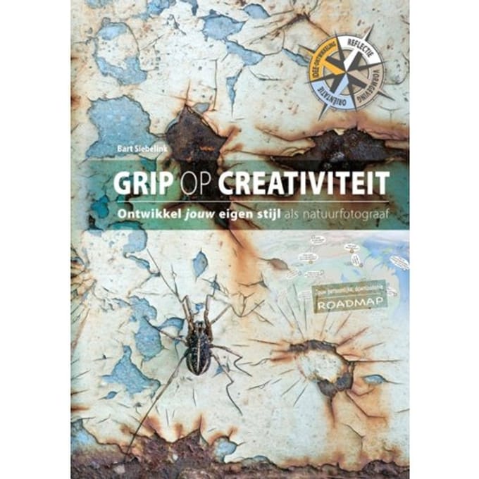 Grip Op Creativiteit - Bart Siebelink