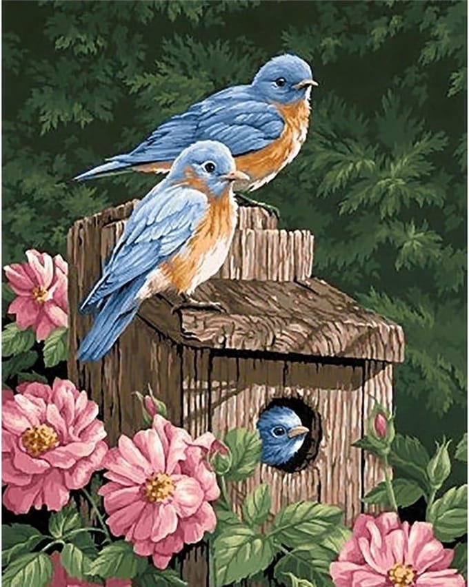 Diamond  Painting Nest 48x38