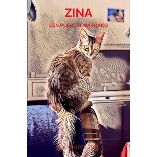 Zina - Olav Van der Stad