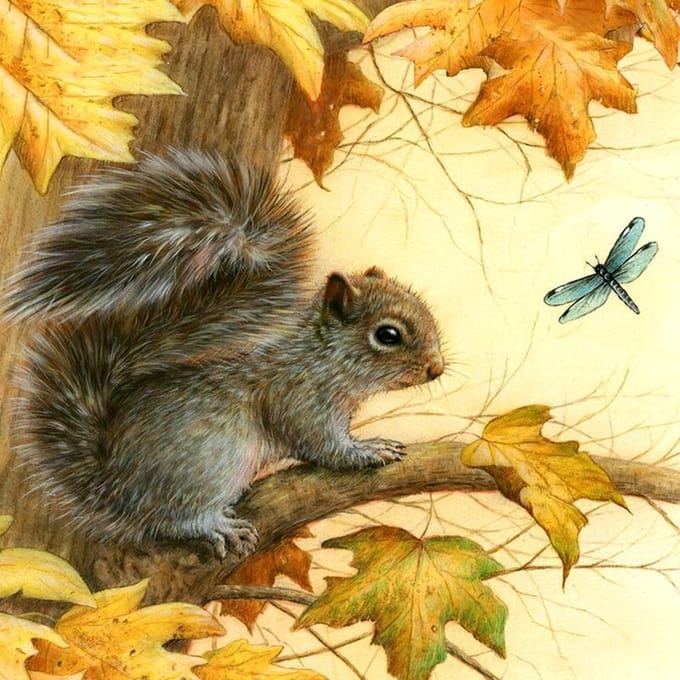 Diamond painting 30x30cm - eekhoorn - ronde steentjes