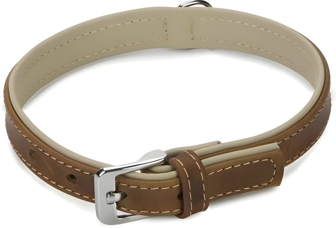 Beeztees Comfort - Halsband Hond - Leer - Bruin - 40 cm x 17 mm