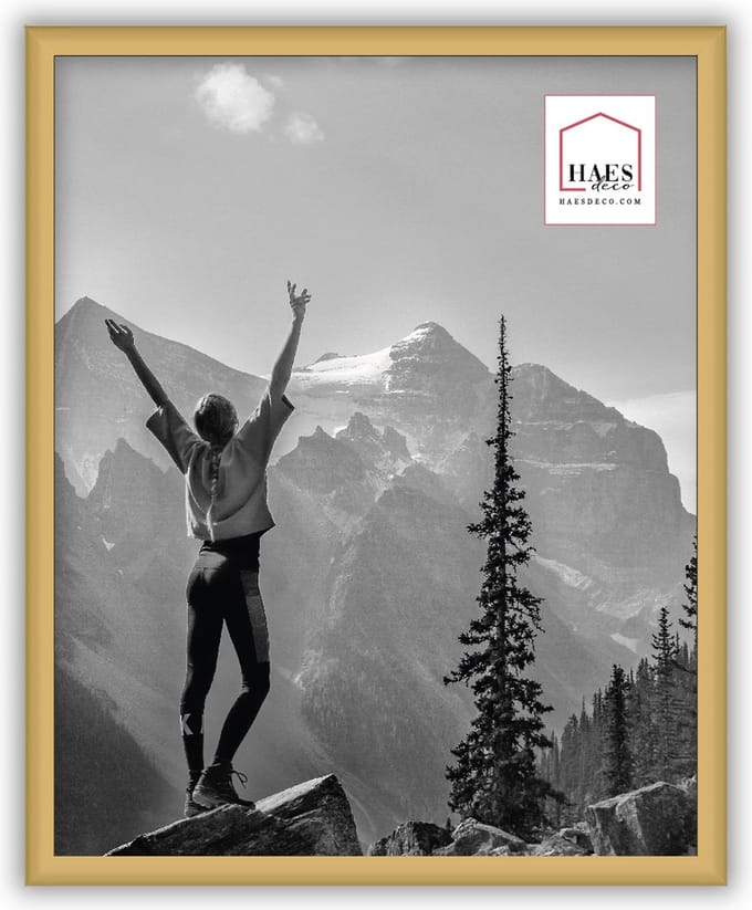 HAES DECO - Kunststof fotolijst 20x25 goud Easy Frame - EF12G