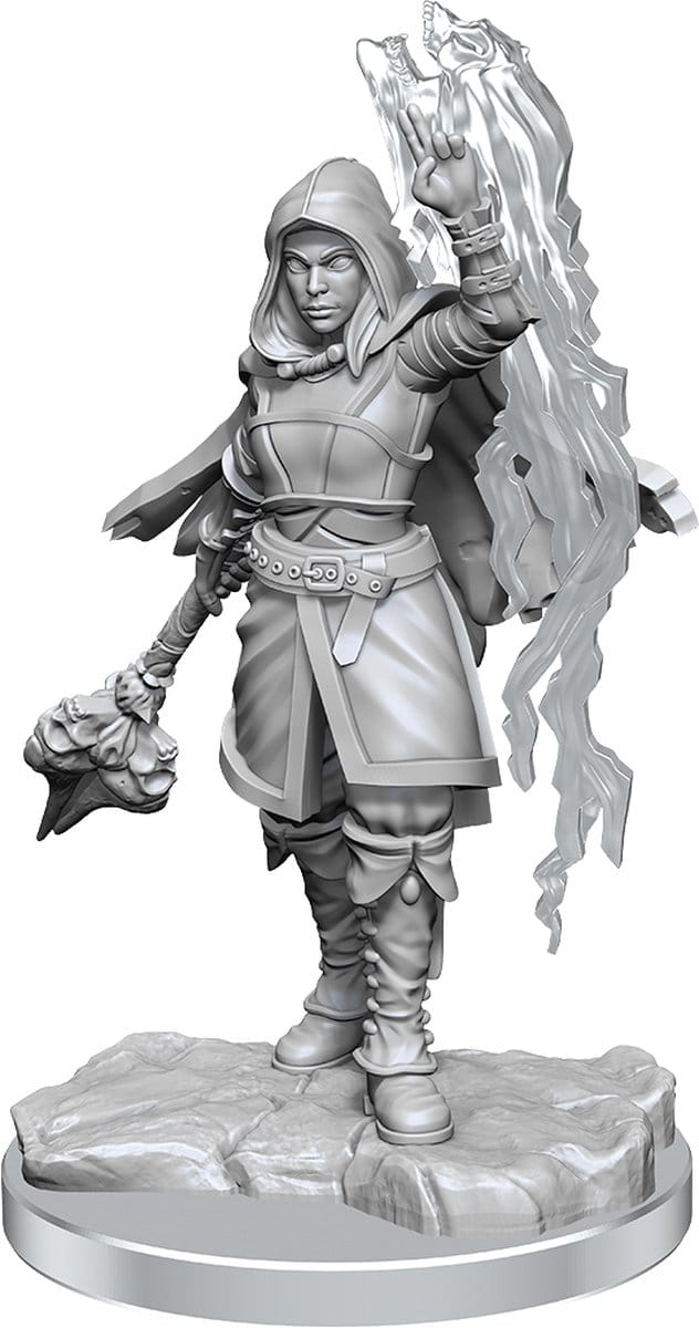 D&D Nolzur's Marvelous Miniatures Half-Elf Warlock Female