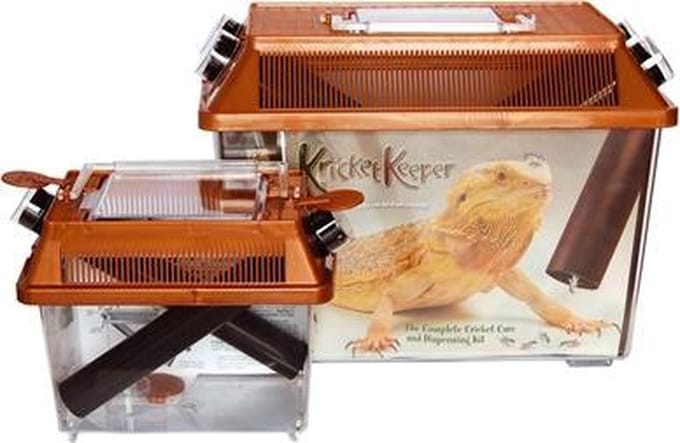 Komodo Krekelbak small