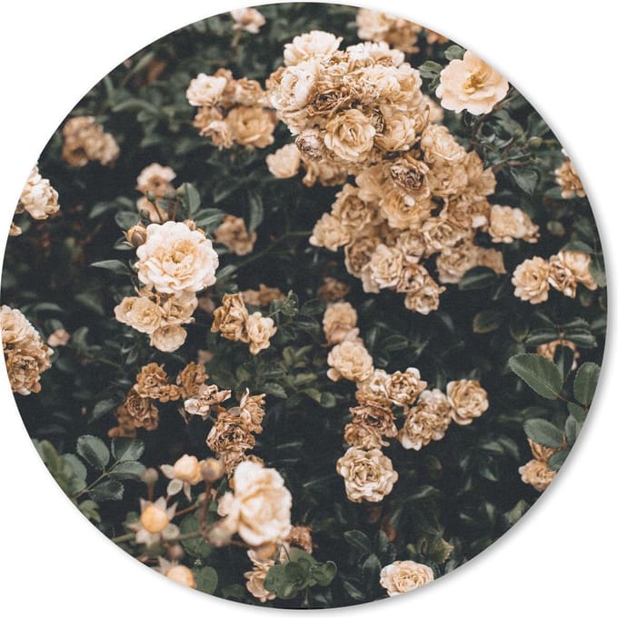 Muismat rond 20x20 cm - Mousepad Rozen - Struik - Bruin - Wit - Ronde muismatten