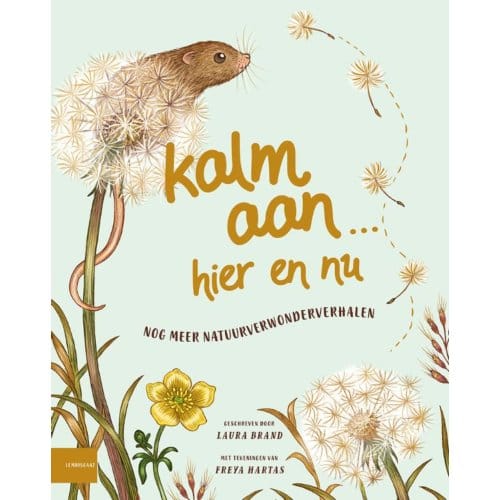 Kalm Aan Hier En Nu - Laura Brand