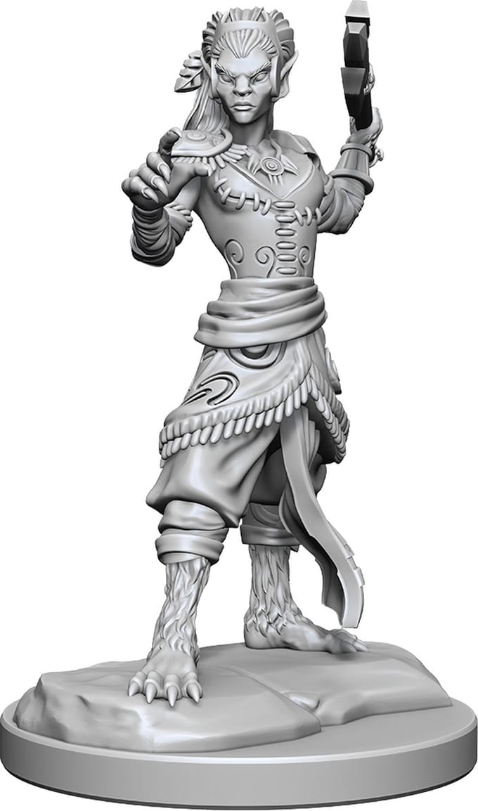 D&D Nolzur's Marvelous Miniatures Shifter Fighter