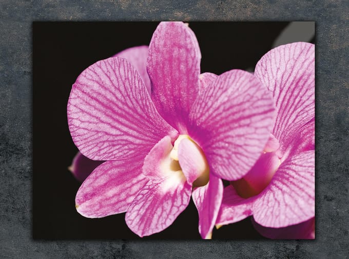TMK ArtDeko - Snijplank - Glas - 40x30 cm - Orchidee Print