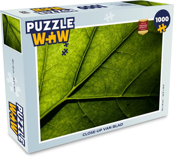 Puzzel Close-up van blad - Legpuzzel - Puzzel 1000 stukjes volwassenen