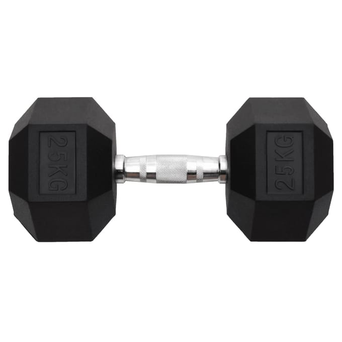 vidaXL - Halters - 25 - kg - gietijzer