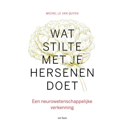 Wat Stilte Met Je Hersenen Doet - Michel Le Van Quyen