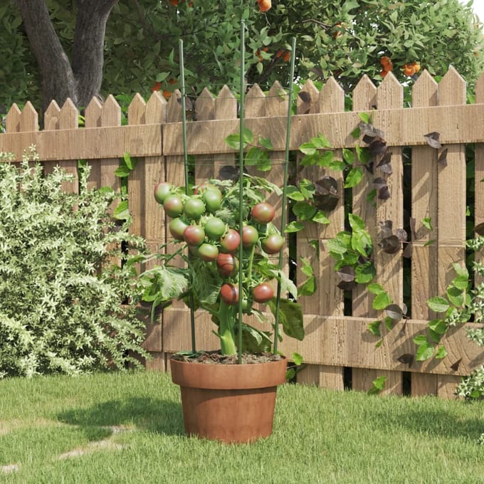 vidaXL - Plantensteunen - 5 - st - met - 3 - ringen - 60 - cm - staal - groen
