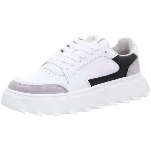 Sneakers Apple Of Eden -