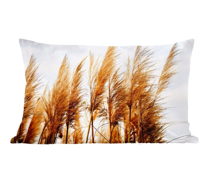 Sierkussens - Kussentjes Woonkamer - 60x40 cm - Pampasgras - Zon - Gras