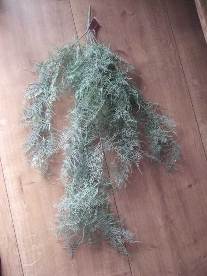Countryfield Kunstplant steker/hang Monilophyta frosty