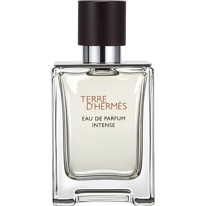 Terre d'Hermes eau de parfum intense spray 50 ml (navulbaar)