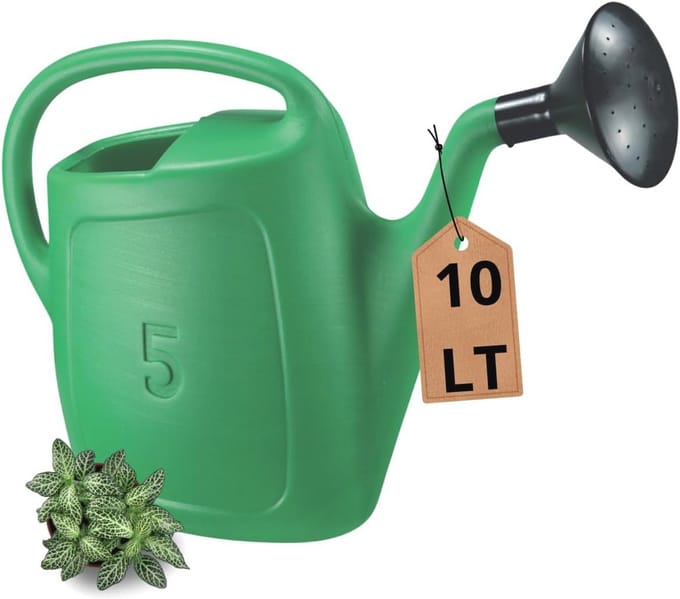 Gieter 10 liter - Tuingieter met diffuser en comfortabele handgreep