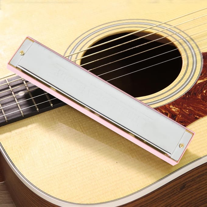 Professionele Mondharmonica Diatonische Harp C Toon Roestvrijstalen Dekplaat 24?HolePink roze