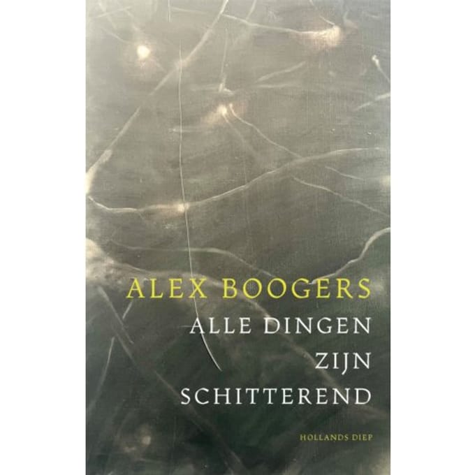 Alle Dingen Zijn Schitterend - Alex Boogers