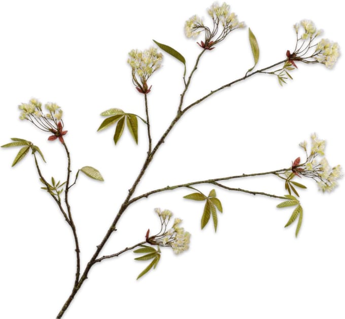 Silk-ka - Kunsttak - esdoorn - creme - H110 cm