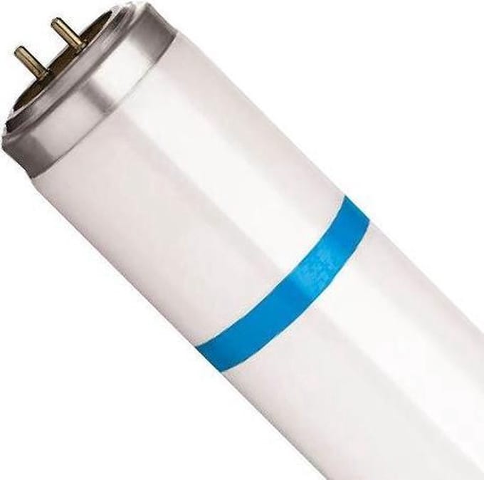 Lamp UV-A 18W/24" BL368 Shatterproof - Vliegenlamp - Coating - 61 cm