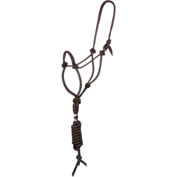 Halster en longe voor paard met knoop Pool's