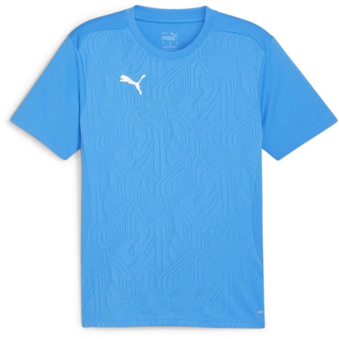 Puma Heren TeamFinal Training T-shirt (Blauw)