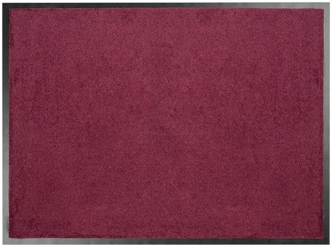 FLOORDIREKT Deurmat Performa - Hoog Absorptievermogen - Voor Binnen en Buiten - Violet - 60 x 90 cm
