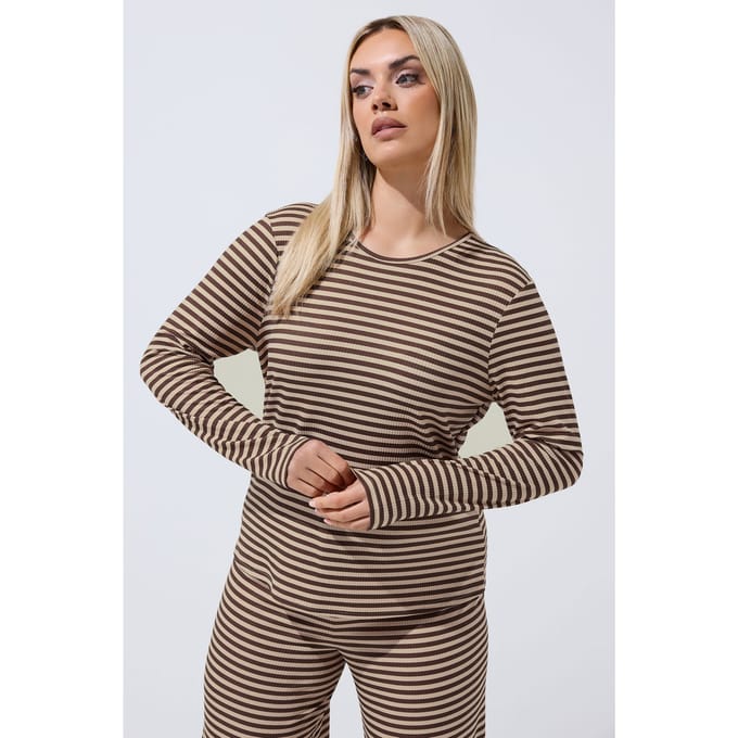 Limited Collection Chocoladebruine En Crèmekleurige Gestreepte Top Size 48