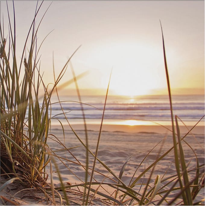 Art for the Home Zonsondergang Duinen Buitencanvas 50x50 cm