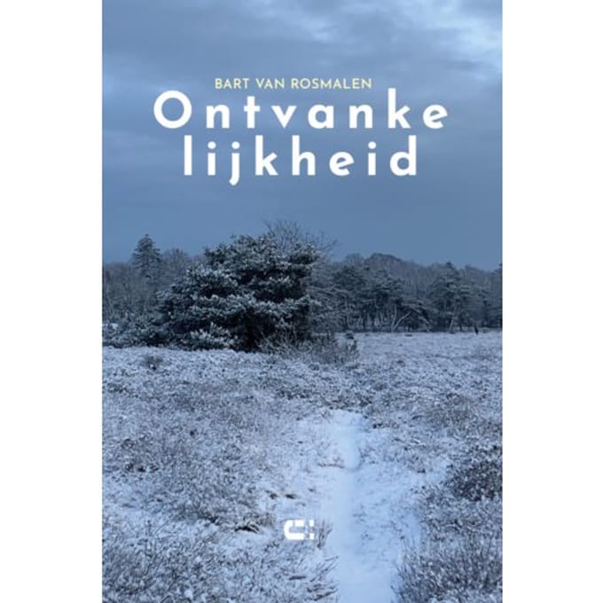Ontvankelijkheid - Bart van Rosmalen