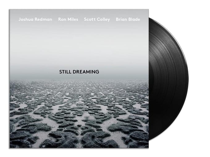 Still Dreaming (LP)