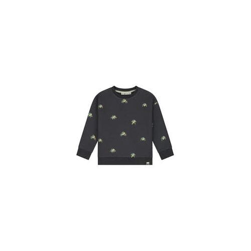 Stains & Stories peuter trui Graphite Grey 104 heren
