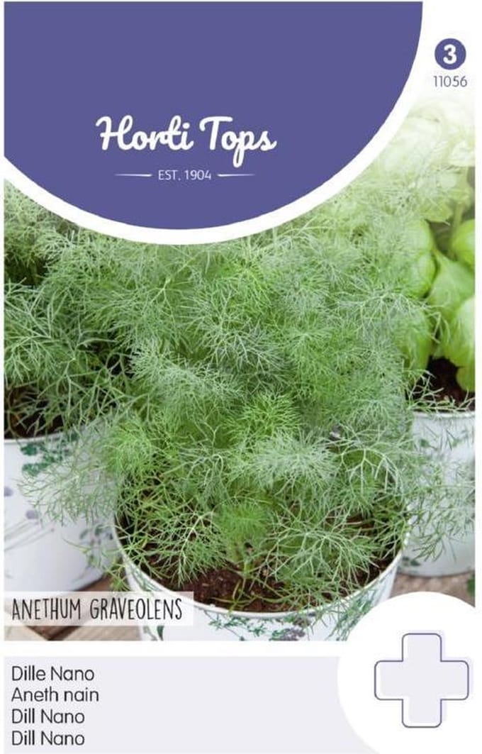 Hortitops - Dille Nano (Anethum graveolens)