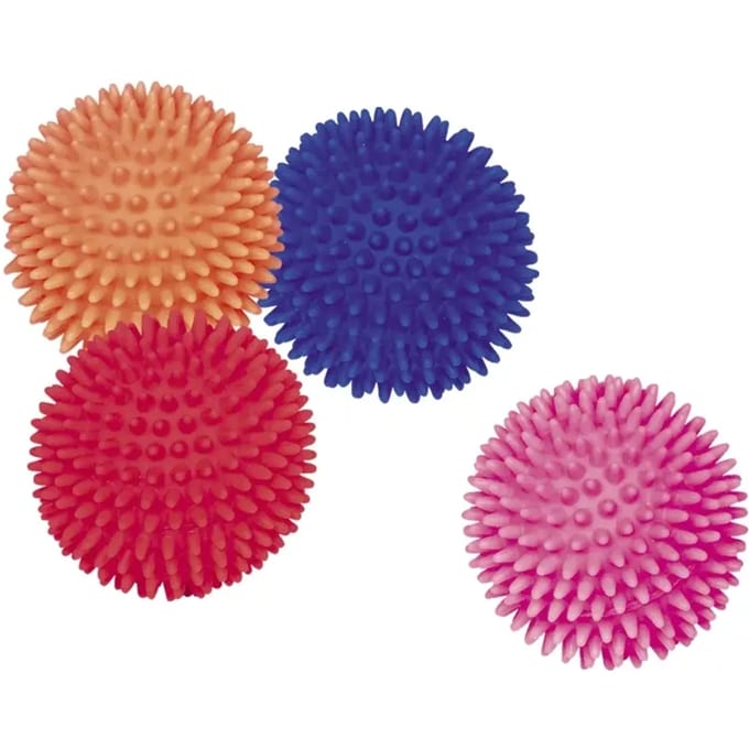 Hondenspeelgoed Nobby Pet Vinyl Igelball Classic