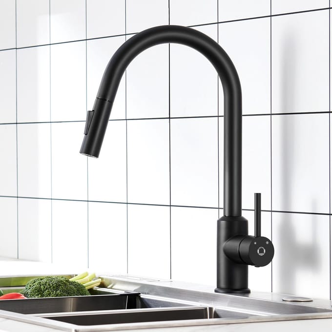 Cecipa MAX Luxe Keukenkraan Mat Zwart - Ronde Uitloop met Flexibele Handdouche - DVGW Gecertificeerd - RVS