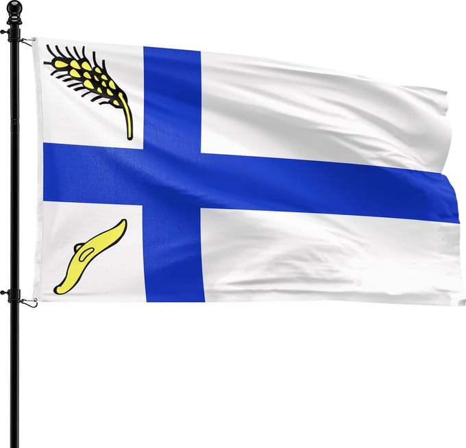 VlagDirect - Wierden vlag - Gemeente Wierden vlag - 90 x 150 cm.