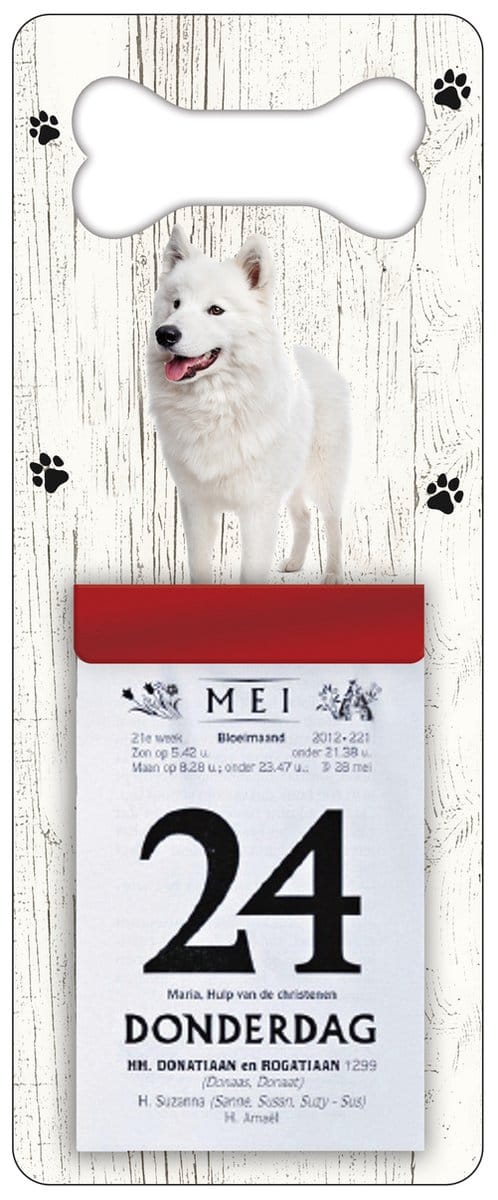 Scheurkalender 2027 Hond: Samojeet