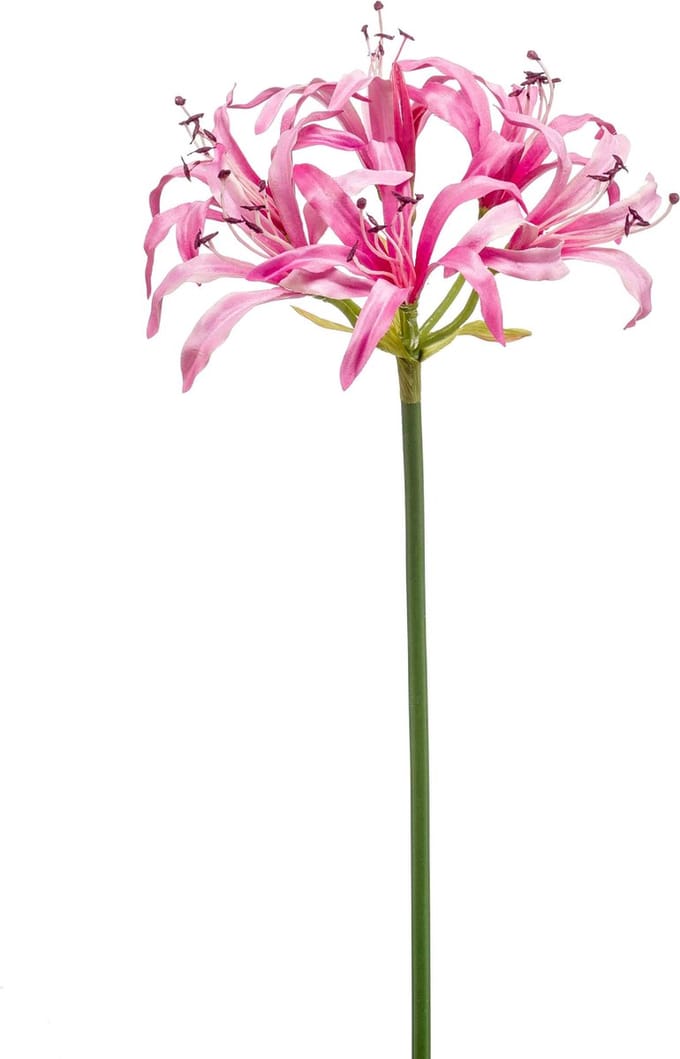 Emerald - Kunstbloem Nerine 75cm roze - Kunstplant voor binnen