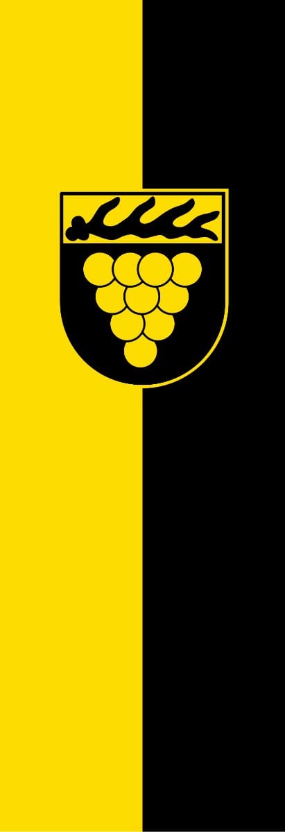 Vlag Weinstadt 100x150cm