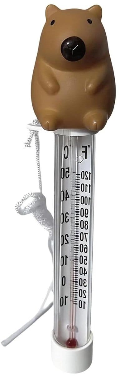 Zwembadthermometer - Watermeter - Watertemperatuur meten - Drijvend met koord - 22 cm - Wit